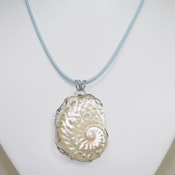 Pendant haliotis