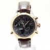 TIMEX IQ World time